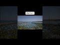 Japan Tsunami Footage Maritime History Tsunami