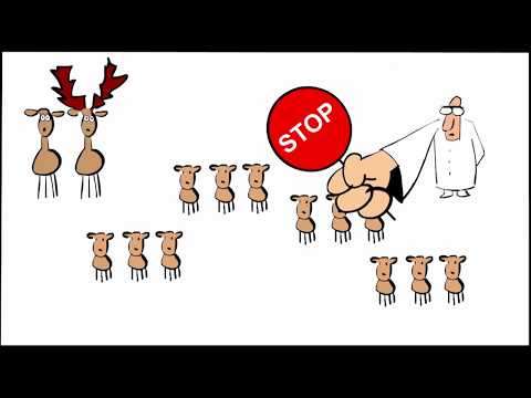 ECOSYSTEM - Bruno Bozzetto