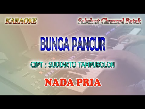 BUNGA PANCUR ll KARAOKE BATAK ll MARSADA BAND ll NADA PRIA G=DO
