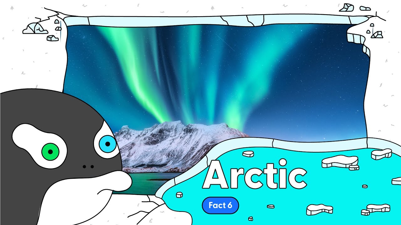 Arctic Fact 6