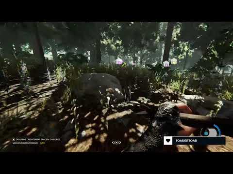 Eine Nacht am Strand | The Forest | Part 54 | LoDM