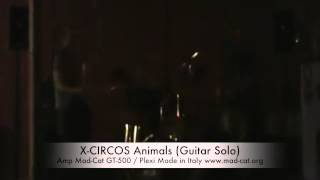 X-Circos Animals (Guitar Solo) Amp Mad-Cat GT-500 Plexi Made in Italy