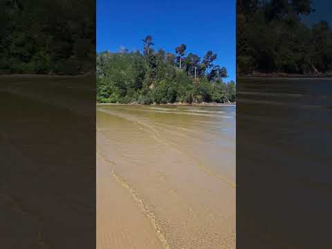 pengalat#shorts #pantai