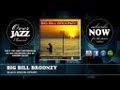 Big Bill Broonzy - Black Widow Spider (1936)