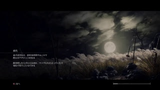 SEKIRO 2周目