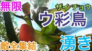 【MHP3rd実況】Part37【ハジモン】　はじめての、モンスターハンターポータブル3rd 　　クルペッコ討伐