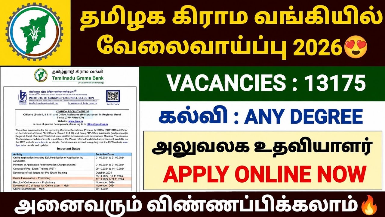 tamilnadu grama bank recruitment 2026 | ibps rrb notification 2026 |how to apply ibps rrb 2026 tamil