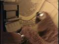 The Muppet Show Rowlf I Never Harmed An Onion