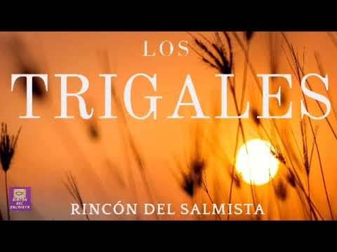 Los Trigales - 1 hora de alabanzas