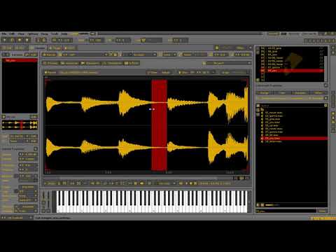 Medonist - Speedcomp 45 [10 samples / 30 minutes] Renoise 3.3 Samples by Null Hypothesis
