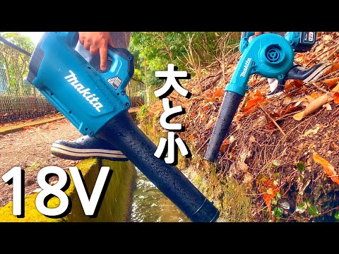 庭掃除に最適な道具は何ですか？リーフシュレッダーバキュームまたはリーフブロワー  庭園