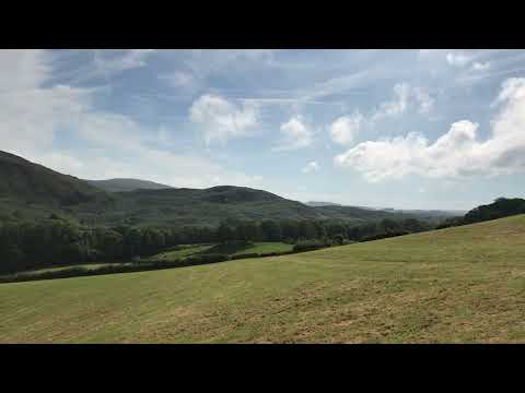 Today’s window of stunningness❤️