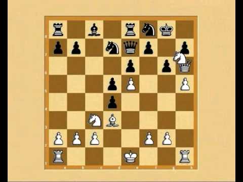 Emisiunea 5 arhiva: Prezentarea unui campion mondial de sah: Max Euwe