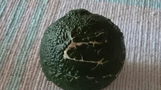 フライホイール  始動  こんなこともあろうかと