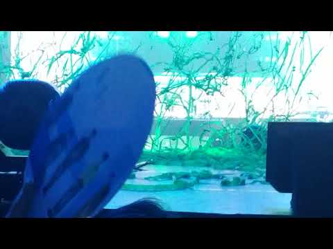 112319 #Day6GravityinMNL - Sing Me 3