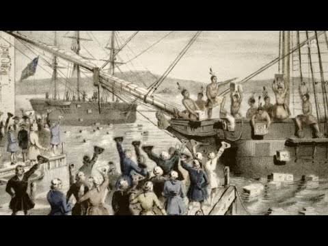 Boston Tea Party und Kontinentalkongress: Erste Phase der Amerikanischen Revolution – Schulfilm