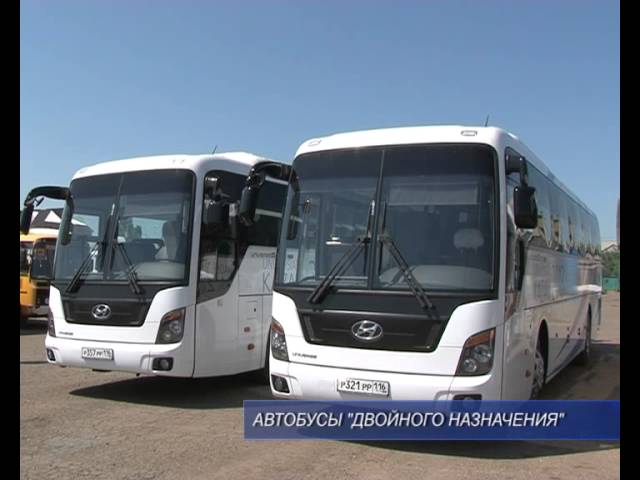 Автобусы с символикой Универсиады. 