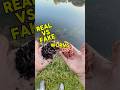 Real Worms VS Fake Worms! #shorts #bassfishing