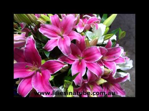 send flowers for birthday  fresh flowers for all occasions send flowers for birthday