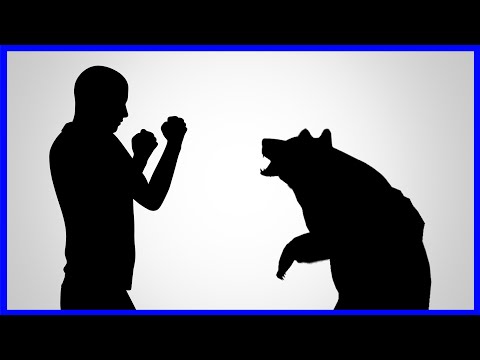 How To Survive A Bear Attack