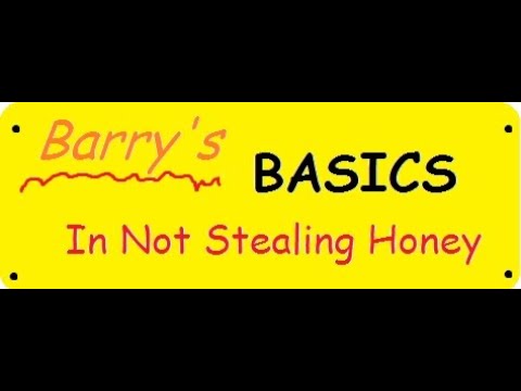 Barry's Basics in Not Stealing Honey