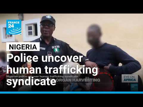Nigerian police arrest four suspects over alleged organ harvesting
