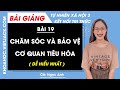 Tự nhiên xã hội lớp 3 Bài 19: Chăm sóc và bảo vệ cơ quan tiêu hóa