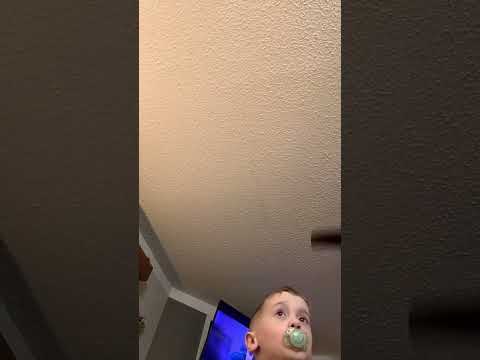 Mary Anne - Lottie Dottie Chicken | Nursery Rhymes