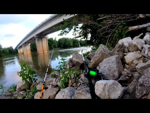 CATFISH and CURRENT SEAMS: YOU'RE MISSING OUT!