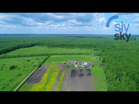 Съемка с воздуха экофермы Валерия Савченко. 