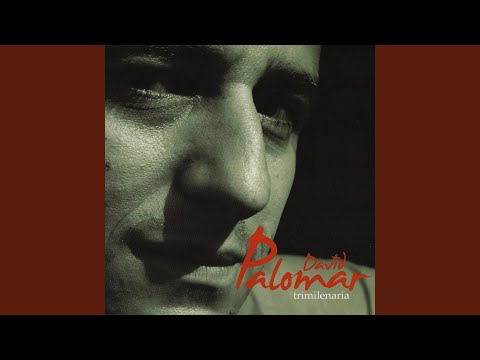 El Niño Del Mentidero (Alegrías)