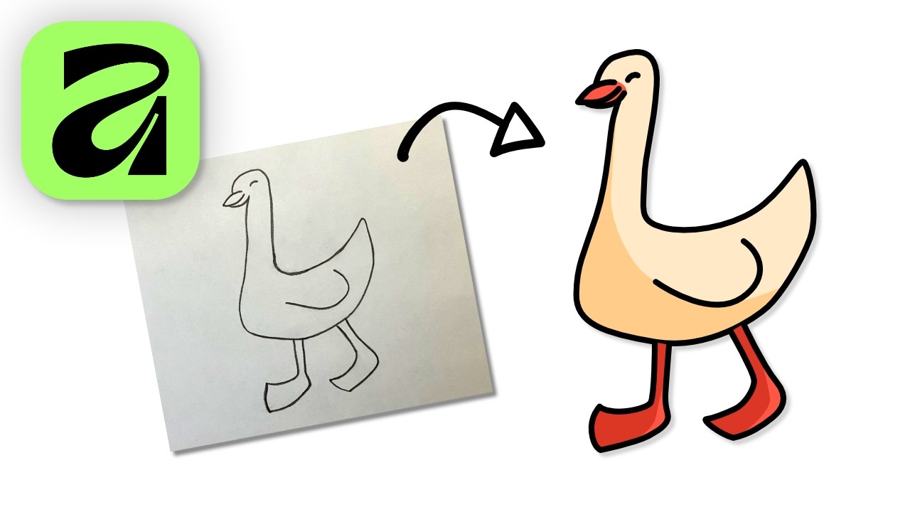 How to Turn a Sketch into a Vector in Affinity