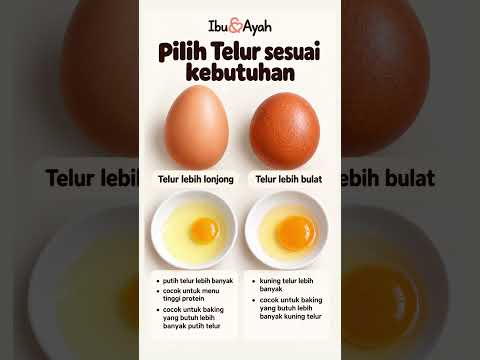 Telur Lonjong atau Bulat, Mana yang Lebih Cocok untuk Memasak? #ibudanayah