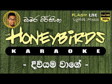 Diviyama Wage karaoke (Without Voice) දිවියම වාගේ කැරෝකේ