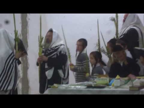 Tolna Rebbe Hoshanah's Sukkot 5774 new shul Jerusalem!