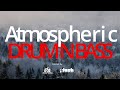 247 Ambient Jungle Atmospheric Drum N Bass Liquid DNB Chill Relax