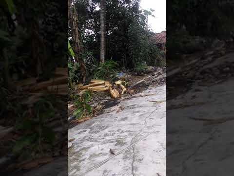 93 Gambar Hantu Gundul Pringis Kekinian 93 Gambar Hantu Gundul Pringis Kekinian