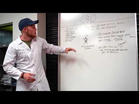 How Can CBD Have So Many Benefits? | Jason Newlan