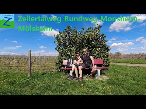 Zellertalweg Rundweg Monsheim-Mölsheim-Wachenheim