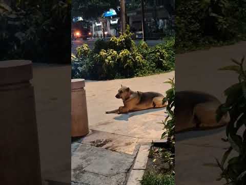 road side nali nayi ..