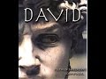"DAVID" by Stephen Melillo