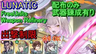 【FEH】神階英雄戦 アルフォズル＆ヴァーリ LUNATIC 配布のみ 錬成有り 出撃【ファイアーエムブレムヒーローズ】FireEmblemHeroes LHB Alfaðör Váli