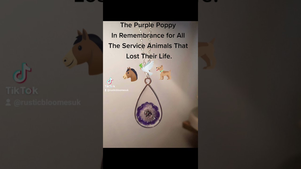 The Purple Poppy #lestweforget #purple #dogs #pigeons #horse #elephant #serviceanimal #war .