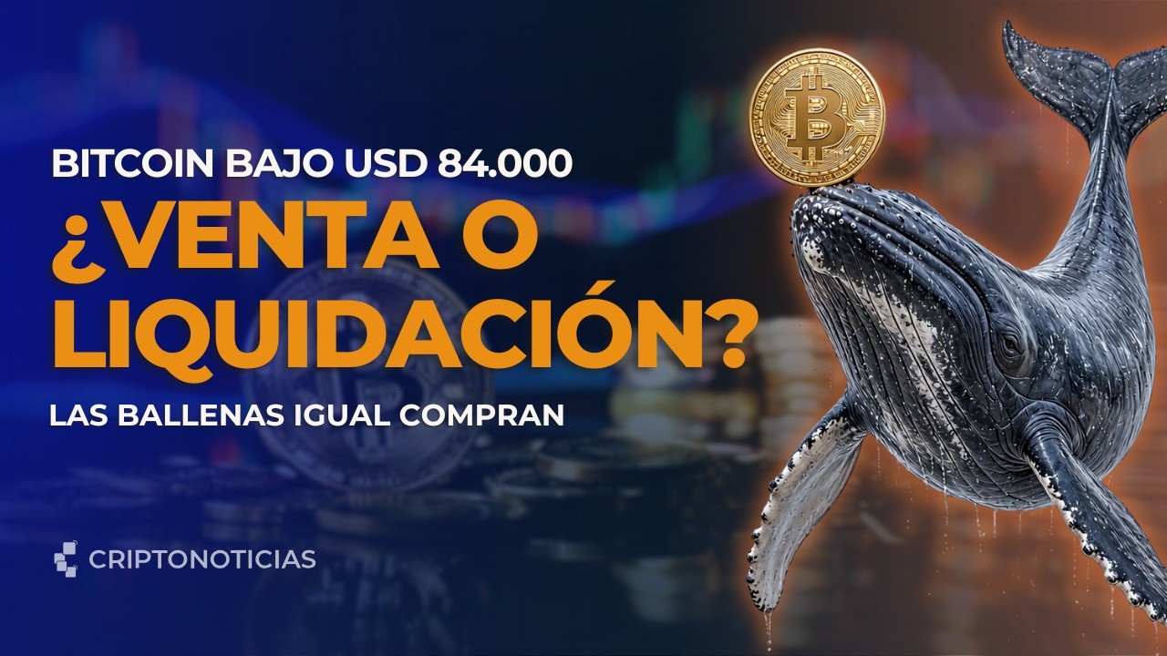 Por qué bitcoin cayó bajo 84.000 dólares: liquidaciones y ballenas | CriptoNoticias