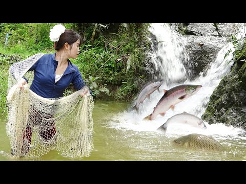 Young Girl Fishing in the Stream | Traditional Fishing With Trawl Nets, Catching a Lot Of Fish
