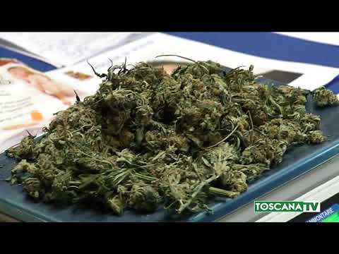 2020-01-17 PRATO - NARCOTRAFFICO, CHIESTA CONDANNA A 10 ANNI E MEZZO