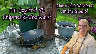 On the Critter Cam: Chipmunk vs Fat Squirrel! Happy Place Garden & Happy Mail & A Journal Page, too!