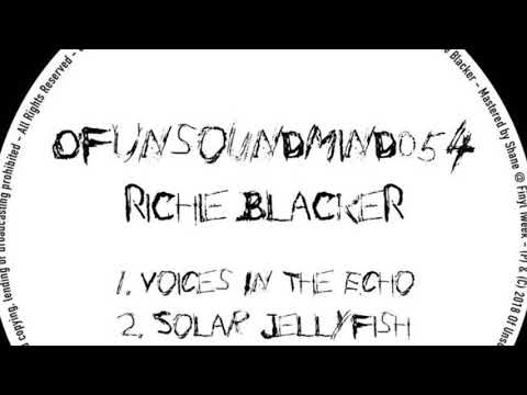 Richie Blacker - Voices In The Echo