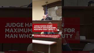 You are a menace: Judge hands down maximum sentence to man who shot and nearly killed a SC deputy
