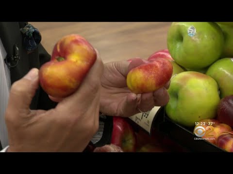 Tip Of The Day: Donut Nectarines